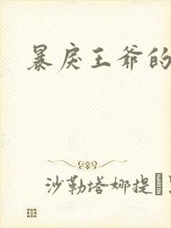 暴戾王爷的贱妾封面