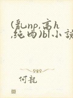 (乱np,高h,纯肉)bl小说