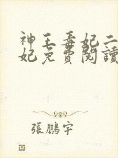 神王毒妃二嫁王妃免费阅读全文封面