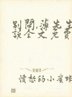 别闹,薄先生小说全文免费阅读