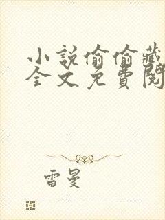 小说偷偷藏不住全文免费阅读全文