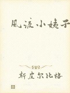 风流小姨子封面