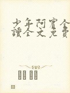 少年阿宾全集阅读全文免费阅读封面