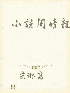小说周晴龙抬头