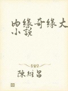 内缘奇缘大团圆小说