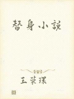 替身小说封面