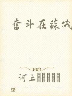 奋斗在苏俄封面