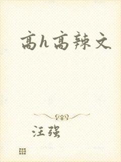 高h高辣文