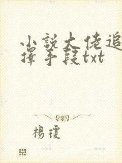 小说大佬追妻不择手段txt