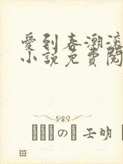 爱到春潮滚滚来小说免费阅读封面