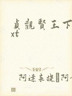 贞观贤王下载txt封面