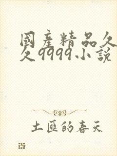 国产精品久久久久9999小说封面