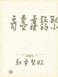 免费看狂兽战神司空靖的小说封面