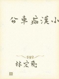 公车痴汉小说