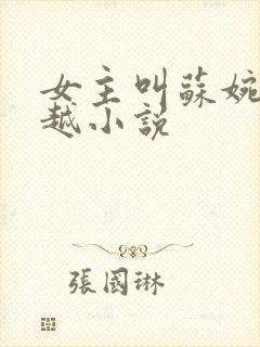女主叫苏婉的穿越小说