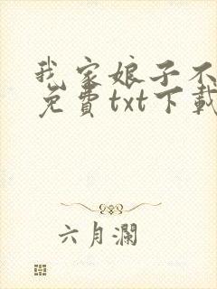 我家娘子不对劲免费txt下载