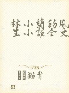 林小兰的风流人生小说全文免费阅读