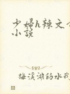 少妇h辣文合集小说