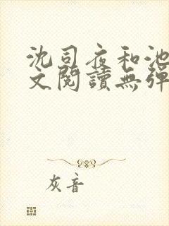 沈司夜和池茵全文阅读无弹窗笔趣阁