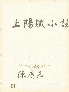 上阳赋小说