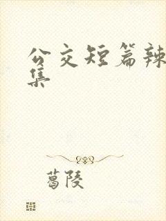 公交短篇辣文合集