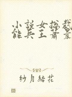 小说女总裁的全能兵王萧晨