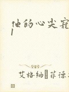 他的心尖宠1v1封面