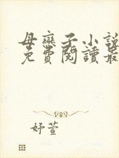 母恋子小说全文免费阅读最新章节封面