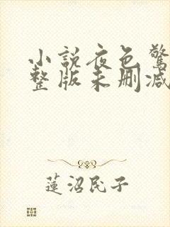 小说夜色惊人完整版未删减小说