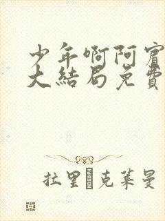 少年啊阿宾小说大结局免费阅读封面