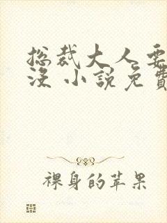 总裁大人要够了没 小说免费阅读