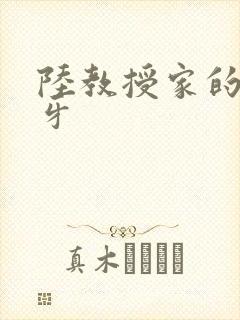 陆教授家的小月牙封面