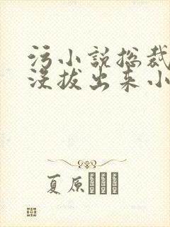 污小说总裁整夜没拔出来小说在线阅读