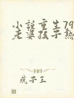 小说重生79:老婆孩子热炕头阅读