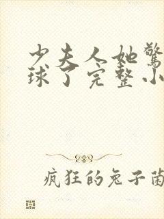少夫人她惊艳全球了完整小说