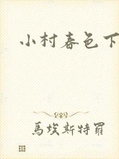 小村春色下载