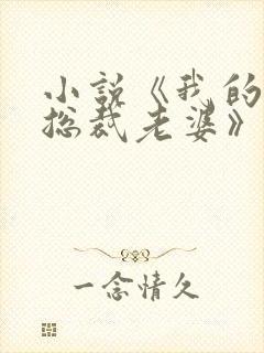 小说《我的冷艳总裁老婆》