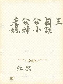 老公公日三个儿媳妇小说