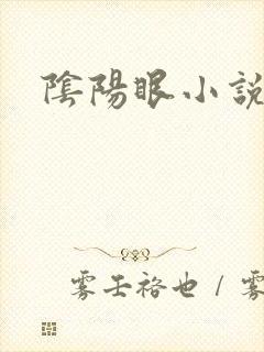 阴阳眼小说