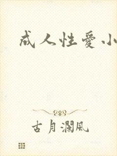 成人性爱小说封面