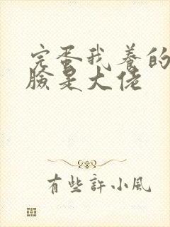 完蛋我养的小白脸是大佬