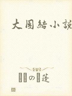 大团结小说阅读