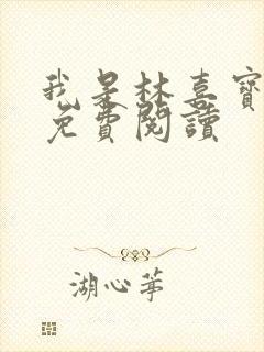 我是林喜宝小说免费阅读