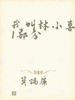 我叫林小喜全文1部分