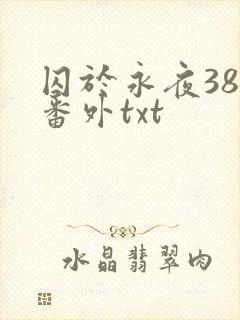 囚于永夜38个番外txt