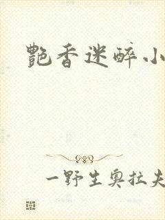 艳香迷醉小说封面