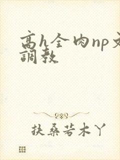 高h全肉np文调教