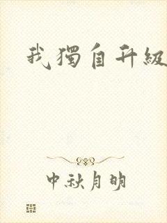 我独自升级2