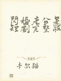 闪婚老公是豪门短剧完整版封面