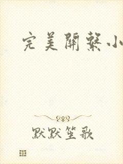完美关系小说